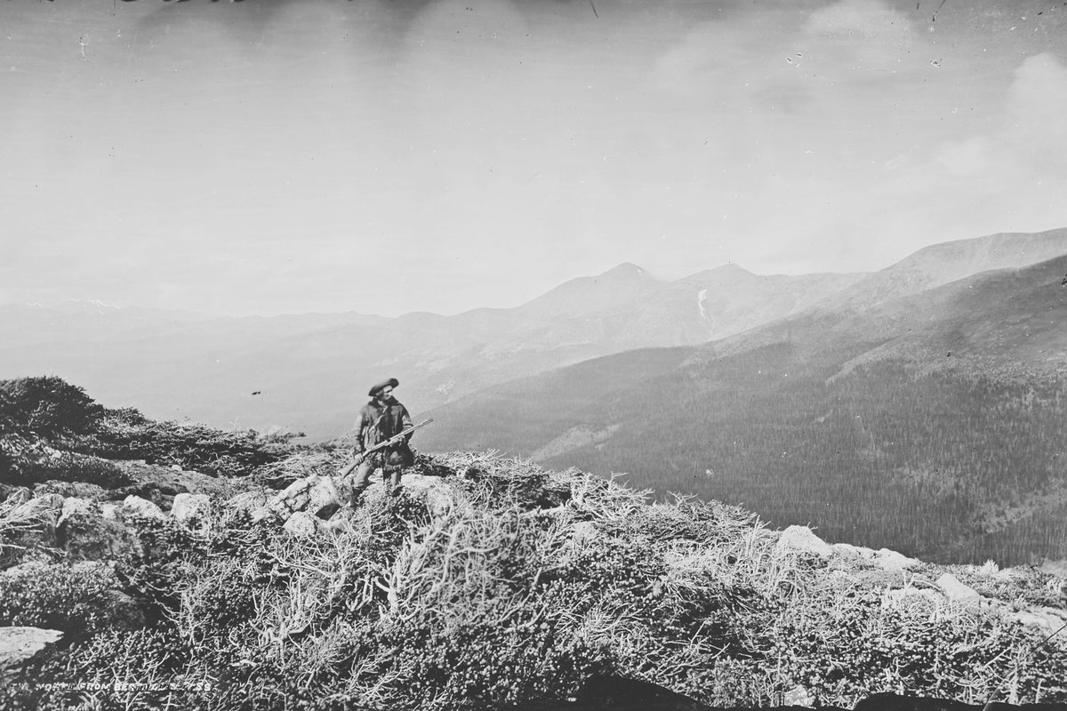 An 1874 photograph of a lone figure with a rifle standing among wind-twisted krummholz on Berthoud Pass, looking north across forested valleys toward the peaks of the Continental Divide