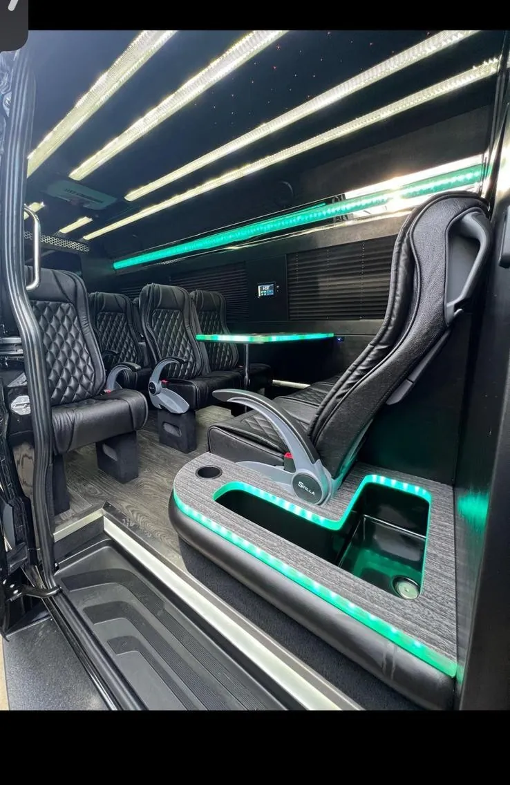 Arion Executive Sprinter interior — diamond-stitched leather seating for 12 passengers