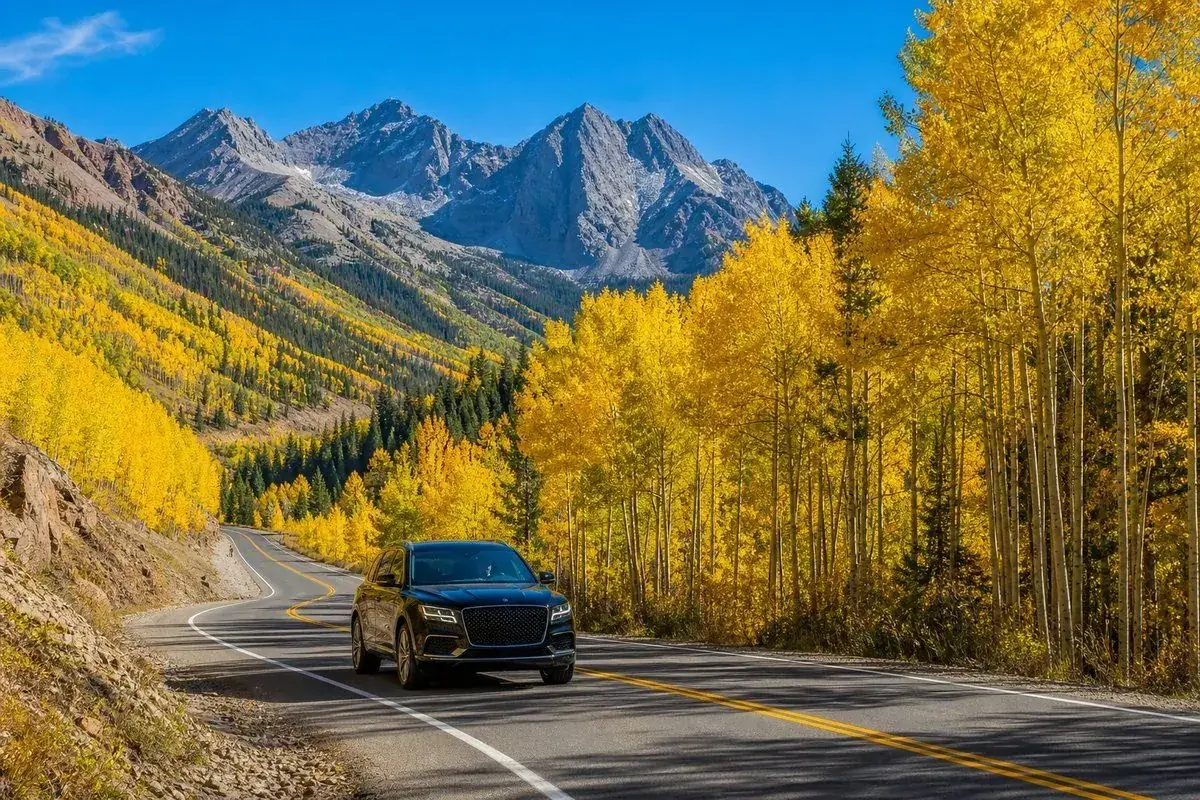 Colorado mountain road winding through aspen trees with blue sky