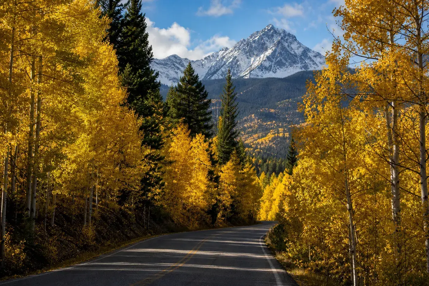 Golden aspen trees lining Peak to Peak Highway with snow-capped mountain ahead
