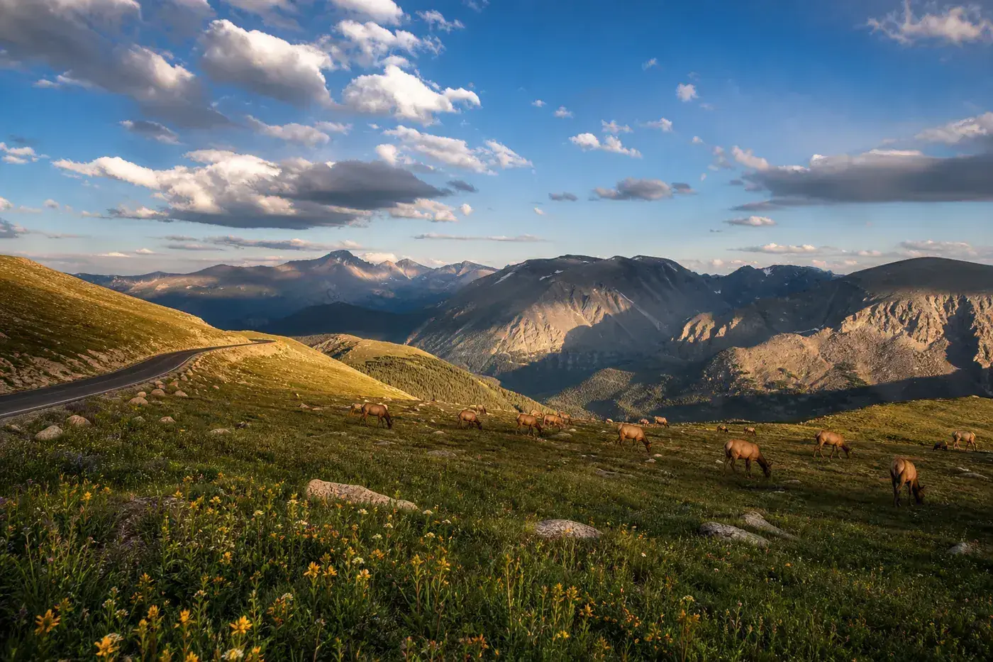 Trail Ridge Road climbing above treeline in Rocky Mountain National Park